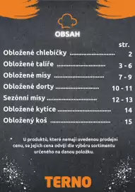 Terno leták Strana 2