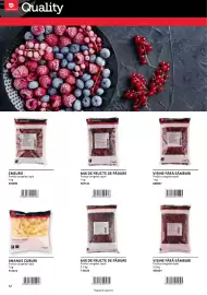 Catalog Selgros Pagină 12