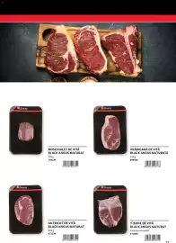 Catalog Selgros Pagină 17