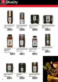 Catalog Selgros Pagină 24