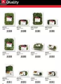 Catalog Selgros Pagină 26