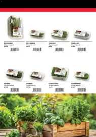 Catalog Selgros Pagină 27