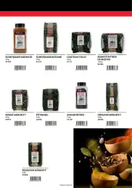Catalog Selgros Pagină 27