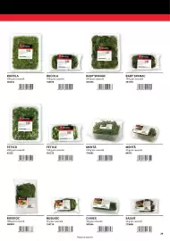 Catalog Selgros Pagină 29