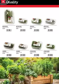 Catalog Selgros Pagină 30