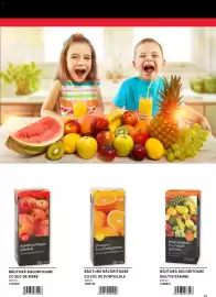 Catalog Selgros Pagină 31