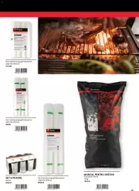 Catalog Selgros Pagină 33