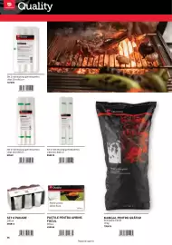 Catalog Selgros Pagină 36