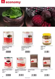 Catalog Selgros Pagină 40