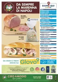 Volantino Ciro Amodio Pagina 12