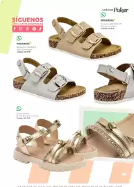 Catálogo SC Pakar Página 43