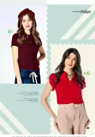 Catálogo SC Pakar Página 45