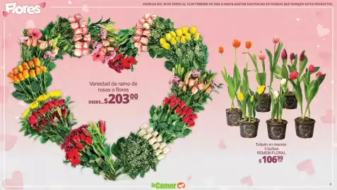 Folleto La Comer Página 2