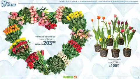 Folleto La Comer Página 2