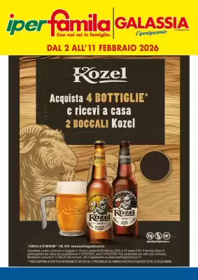 Volantino IperFamila (valido fino al 11-02)