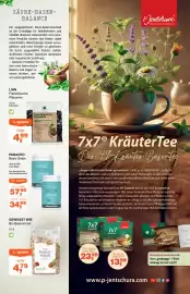 Prokopp Flugblatt Seite 5