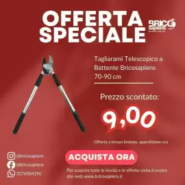 Volantino Brico Sapiens Pagina 2