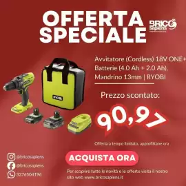 Volantino Brico Sapiens Pagina 6