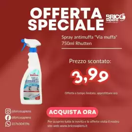 Volantino Brico Sapiens Pagina 9