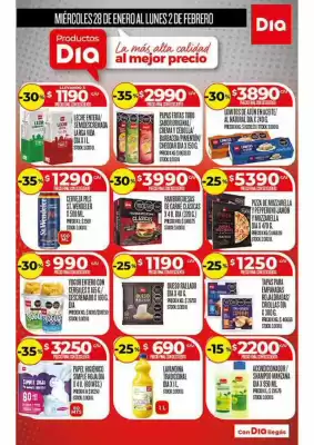 Folleto Supermercados DIA