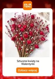 Temu gazetka Strona 4