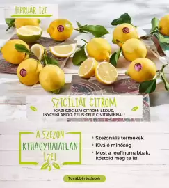 Interspar akciós újság hét 6 Oldal 22