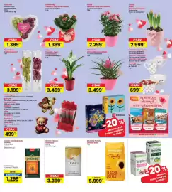 Interspar akciós újság hét 6 Oldal 3