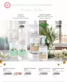 Catálogo Biogreen Página 11