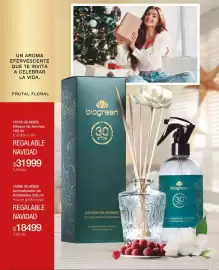 Catálogo Biogreen Página 114