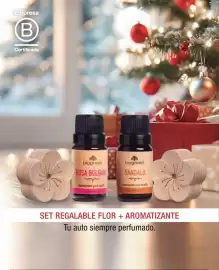 Catálogo Biogreen Página 119