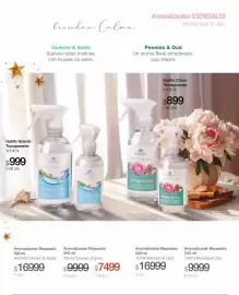 Catálogo Biogreen Página 12