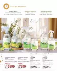 Catálogo Biogreen Página 15