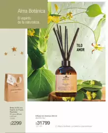 Catálogo Biogreen Página 29