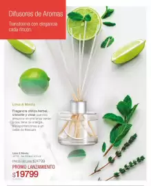 Catálogo Biogreen Página 3