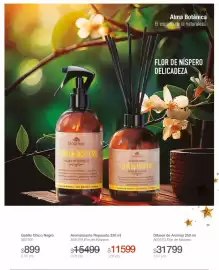 Catálogo Biogreen Página 30