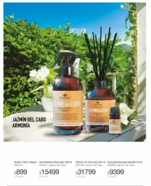 Catálogo Biogreen Página 33