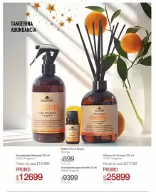 Catálogo Biogreen Página 35