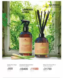 Catálogo Biogreen Página 36