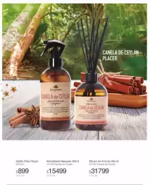 Catálogo Biogreen Página 37