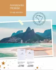 Catálogo Biogreen Página 39