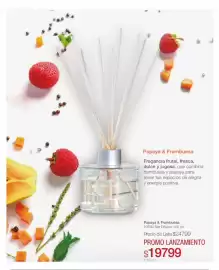 Catálogo Biogreen Página 4