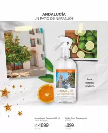 Catálogo Biogreen Página 41