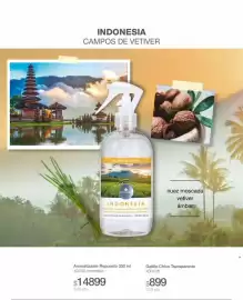 Catálogo Biogreen Página 43