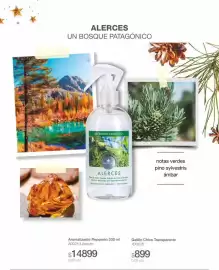 Catálogo Biogreen Página 45