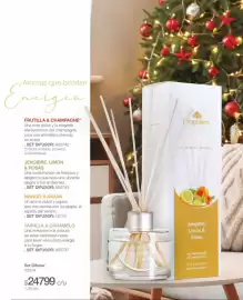 Catálogo Biogreen Página 5