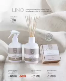 Catálogo Biogreen Página 51