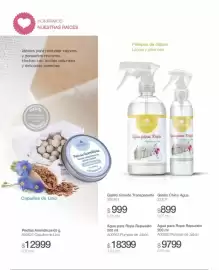 Catálogo Biogreen Página 55