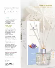 Catálogo Biogreen Página 6