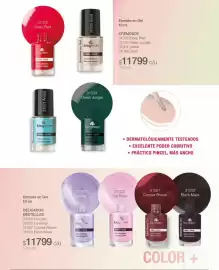 Catálogo Biogreen Página 85