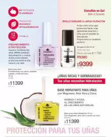 Catálogo Biogreen Página 86